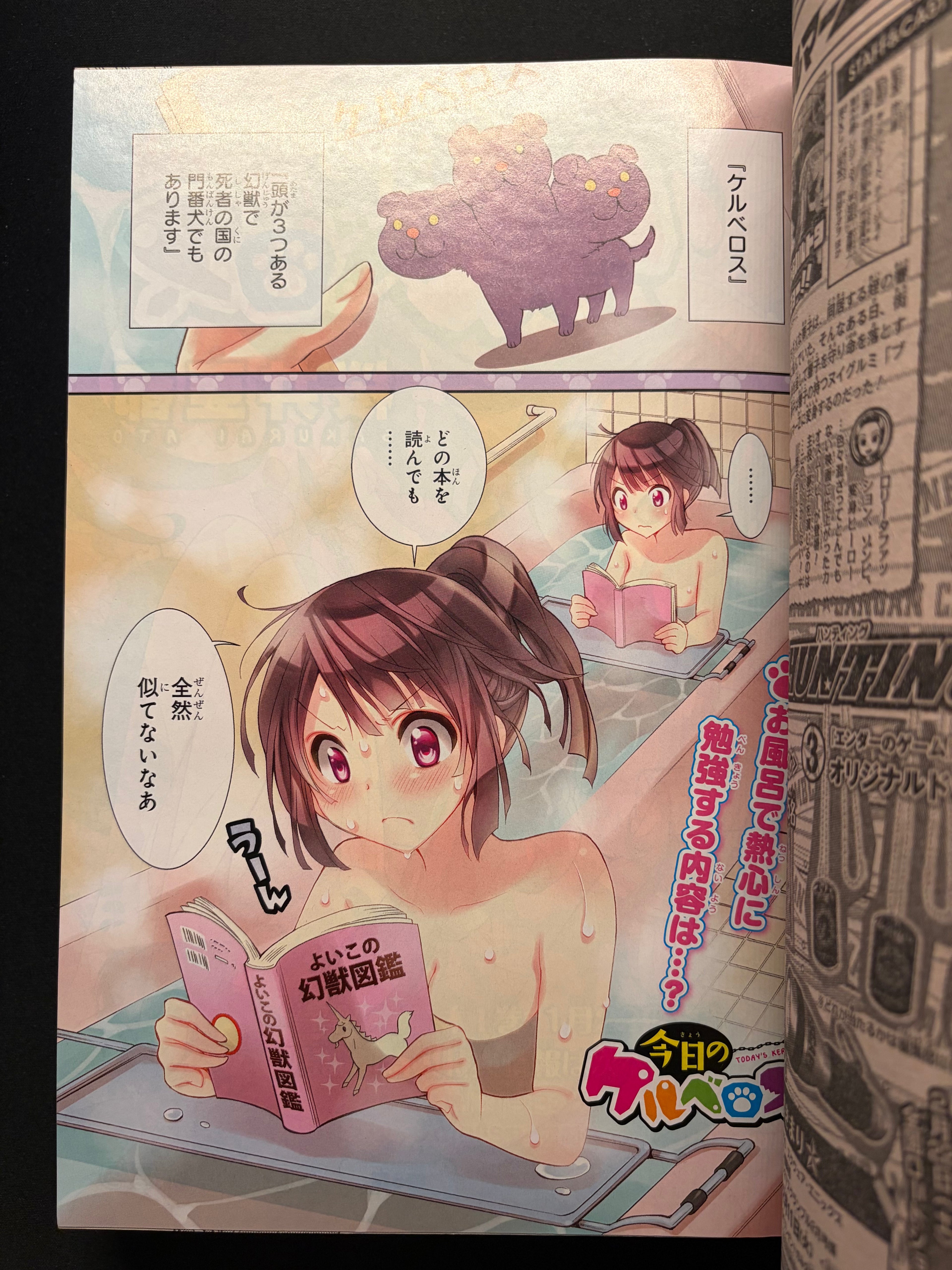 Monthly Shonen Gangan n°2 2014